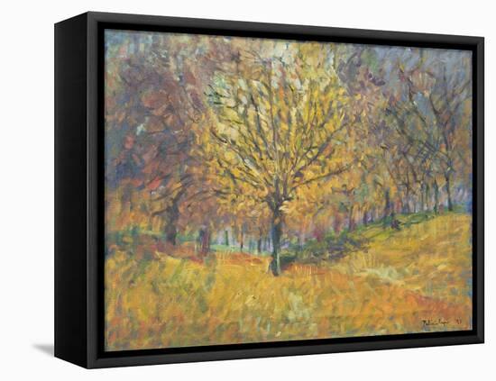 November in Hyde Park, 1997-Patricia Espir-Framed Stretched Canvas