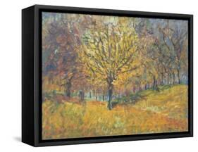 November in Hyde Park, 1997-Patricia Espir-Framed Stretched Canvas