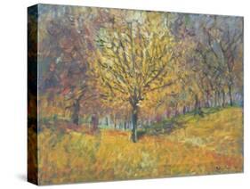 November in Hyde Park, 1997-Patricia Espir-Stretched Canvas