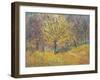 November in Hyde Park, 1997-Patricia Espir-Framed Giclee Print