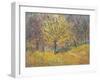 November in Hyde Park, 1997-Patricia Espir-Framed Giclee Print