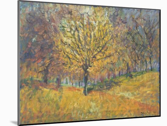 November in Hyde Park, 1997-Patricia Espir-Mounted Giclee Print