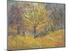 November in Hyde Park, 1997-Patricia Espir-Mounted Giclee Print