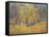 November in Hyde Park, 1997-Patricia Espir-Framed Stretched Canvas