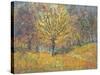 November in Hyde Park, 1997-Patricia Espir-Stretched Canvas