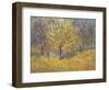 November in Hyde Park, 1997-Patricia Espir-Framed Giclee Print