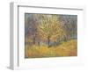 November in Hyde Park, 1997-Patricia Espir-Framed Giclee Print