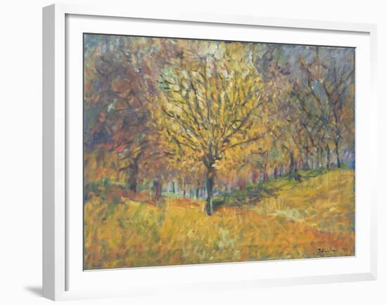 November in Hyde Park, 1997-Patricia Espir-Framed Giclee Print