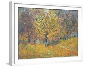 November in Hyde Park, 1997-Patricia Espir-Framed Giclee Print