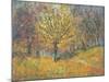 November in Hyde Park, 1997-Patricia Espir-Mounted Giclee Print