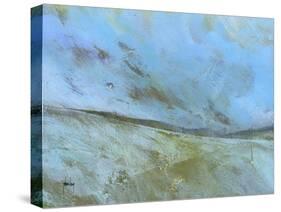 November Moor-Paul Bailey-Stretched Canvas