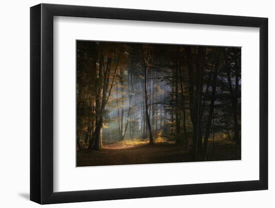 November Morning-Norbert Maier-Framed Photographic Print