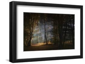 November Morning-Norbert Maier-Framed Photographic Print