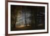 November Morning-Norbert Maier-Framed Photographic Print