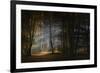 November Morning-Norbert Maier-Framed Photographic Print