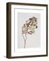 November Peony Leaves, 1999-Rebecca John-Framed Giclee Print