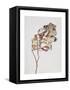 November Peony Leaves, 1999-Rebecca John-Framed Stretched Canvas