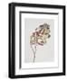 November Peony Leaves, 1999-Rebecca John-Framed Giclee Print