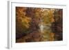 November Reflections-Jessica Jenney-Framed Photographic Print