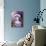 November's Cat-Josh Byer-Giclee Print displayed on a wall