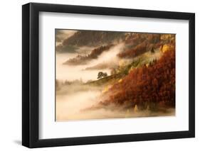 November's Fog-Bor-Framed Photographic Print
