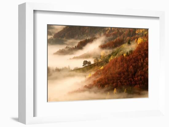 November's Fog-Bor-Framed Photographic Print