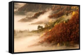 November's Fog-Bor-Framed Stretched Canvas