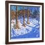 November Snow, Allestree Park, Derby, 2017-Andrew Macara-Framed Giclee Print