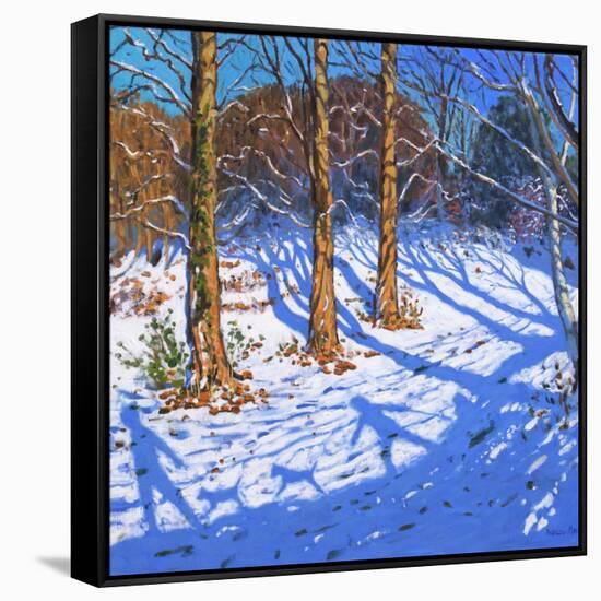 November Snow, Allestree Park, Derby, 2017-Andrew Macara-Framed Stretched Canvas