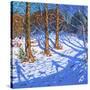 November Snow, Allestree Park, Derby, 2017-Andrew Macara-Stretched Canvas