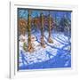 November Snow, Allestree Park, Derby, 2017-Andrew Macara-Framed Giclee Print