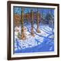 November Snow, Allestree Park, Derby, 2017-Andrew Macara-Framed Giclee Print