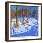 November Snow, Allestree Park, Derby, 2017-Andrew Macara-Framed Giclee Print