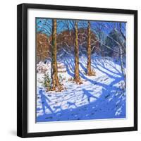 November Snow, Allestree Park, Derby, 2017-Andrew Macara-Framed Giclee Print