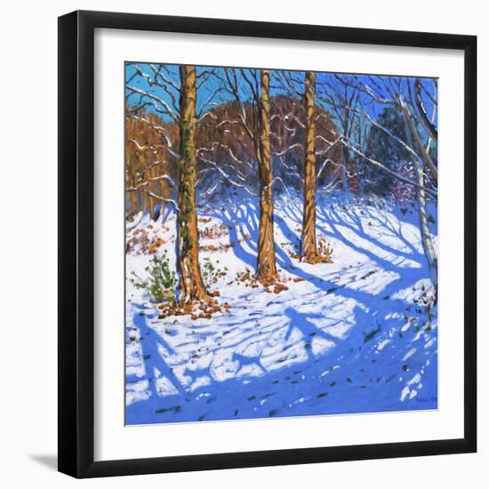 November Snow, Allestree Park, Derby, 2017-Andrew Macara-Framed Giclee Print