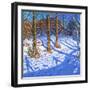 November Snow, Allestree Park, Derby, 2017-Andrew Macara-Framed Giclee Print