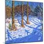 November Snow, Allestree Park, Derby, 2017-Andrew Macara-Mounted Giclee Print
