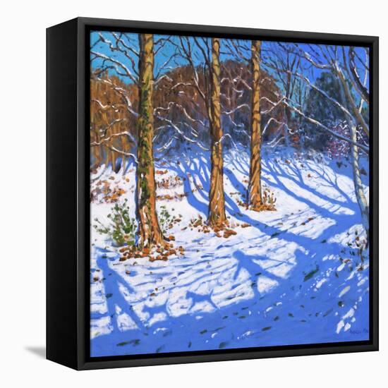 November Snow, Allestree Park, Derby, 2017-Andrew Macara-Framed Stretched Canvas