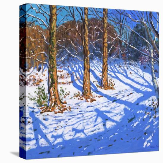 November Snow, Allestree Park, Derby, 2017-Andrew Macara-Stretched Canvas