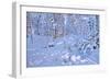 November Snow,Allestree Woods,Derby-Andrew Macara-Framed Giclee Print