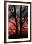 November Sunset Vertical-Robert Goldwitz-Framed Photographic Print