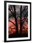 November Sunset Vertical-Robert Goldwitz-Framed Photographic Print