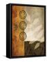 November Textures II-Michael Marcon-Framed Stretched Canvas
