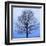 November Tree-James McLoughlin-Framed Art Print