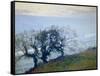 November Twilight-Guy Rose-Framed Stretched Canvas