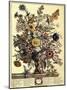 November-Robert Furber-Mounted Art Print