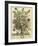 November-Robert Furber-Framed Giclee Print