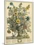 November-Robert Furber-Mounted Giclee Print