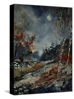 November-Pol Ledent-Stretched Canvas
