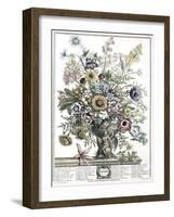 November-H. Fletcher-Framed Giclee Print